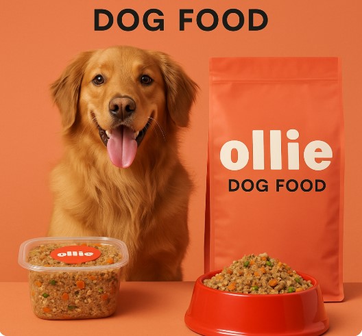 Ollie Dog Food1