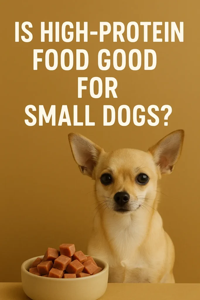 Is High-Protein Food Good for Small Dogs
